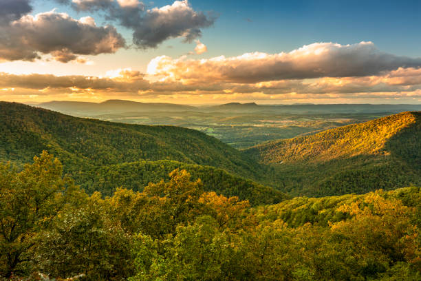 Fall in Love with Winchester, VA: A Perfect Autumn Weekend Itinerary
